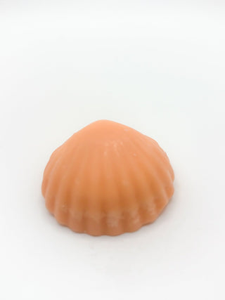 Fondants Monoï Clémentine - Fee maison