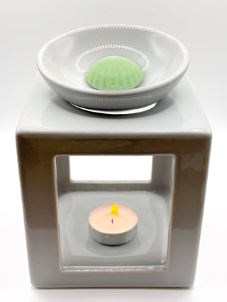 Fondants Pulpe de kiwi - Fee maison